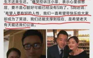 汪小菲债务危机：大S去世后如何应对抚养权与遗产争议？