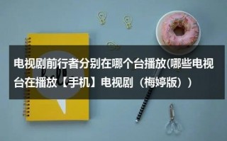 电视剧前行者分别在哪个台播放(哪些电视台在播放【手机】电视剧（梅婷版）)（前行者在那个台播出）