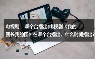电视剧    哪个台播出(电视剧《我的团长我的团》在哪个台播出，什么时间播出？)（电视机我的团长我的团）