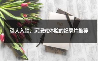 引人入胜，沉浸式体验的纪录片推荐（沉浸式实景剧场）