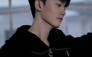 李明德酒后砸车事件：明星法治教育教训：责任与法律不可忽视