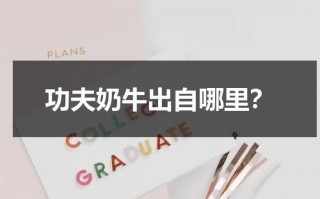 功夫奶牛出自哪里？