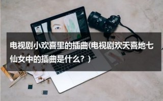 电视剧小欢喜里的插曲(电视剧欢天喜地七仙女中的插曲是什么？)（欢天喜地七仙女的片尾曲）