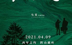 红豆杉之恋 TAXUS MAIREI LOVE