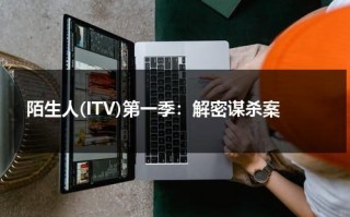 陌生人(ITV)第一季：解密谋杀案（电视剧陌生人的）