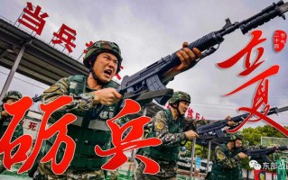 精武青春(精武青春电视剧免费观看)