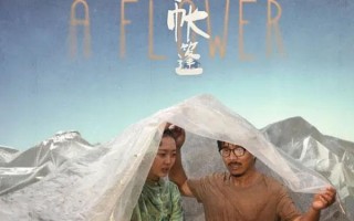 带彩球的帐篷 The Time of A Flower