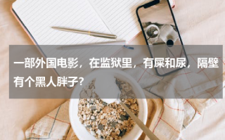 一部外国电影，在监狱里，有屎和尿，隔壁有个黑人胖子？