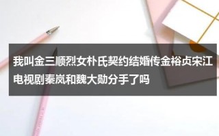 我叫金三顺烈女朴氏契约结婚传金裕贞宋江电视剧秦岚和魏大勋分手了吗