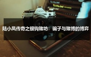 陆小凤传奇之银钩赌坊：骗子与赌博的博弈（陆小凤之银钩赌坊解析）