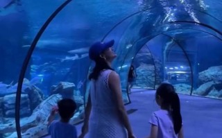 朱丹带儿子女儿逛海洋馆 住海底酒店好梦幻
