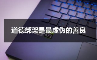 道德绑架是最虚伪的善良（道德绑架是最可怕的）