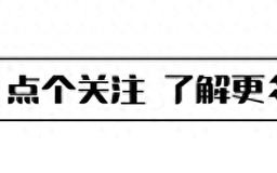 不顾央视警告顶风作案，与刘涛传出绯闻的杨烁，到底谁在给他撑腰（杨烁刘涛在一起了吗）