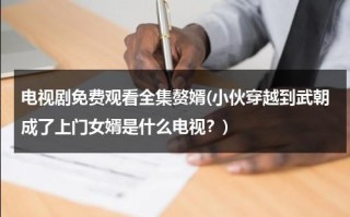 电视剧免费观看全集赘婿(小伙穿越到武朝成了上门女婿是什么电视？)（小伙穿越古代成上门女婿柳城风）