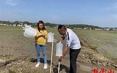 诱捕之后(诱捕之后大结局)