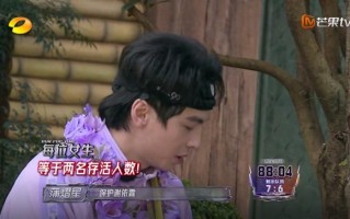 全员加速中对战季：谢依霖倒数6秒被抓，暴露了节目的最大顽疾（全员加速中黄绮珊大张伟几期）