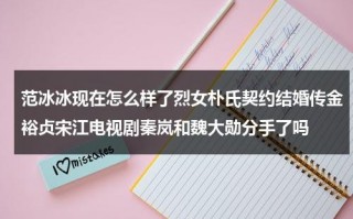 范冰冰现在怎么样了烈女朴氏契约结婚传金裕贞宋江电视剧秦岚和魏大勋分手了吗（范冰冰目前身价）