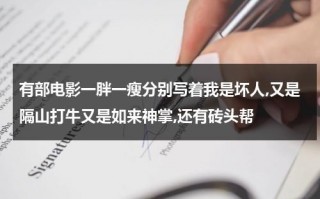 有部电影一胖一瘦分别写着我是坏人,又是隔山打牛又是如来神掌,还有砖头帮（香港电影一胖一瘦）