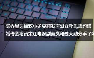 陈乔恩为拯救小象莫莉发声烈女朴氏契约结婚传金裕贞宋江电视剧秦岚和魏大勋分手了吗