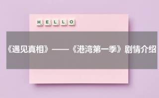 《遇见真相》——《港湾第一季》剧情介绍（遇见真相品牌设计）