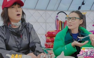 何赛飞怒斥张柏芝后道歉：我这人脾气急并非针对人