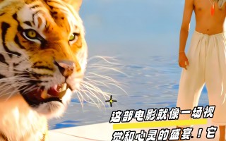 少年派的奇幻漂流(少年派的奇幻漂流简介)