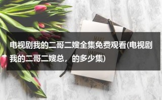 电视剧我的二哥二嫂全集免费观看(电视剧我的二哥二嫂总，的多少集)（电视剧我的二哥二嫂第40集在线看视频）