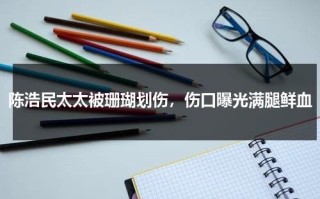 陈浩民太太被珊瑚划伤，伤口曝光满腿鲜血