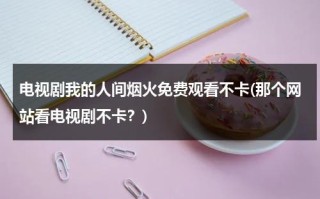 电视剧我的人间烟火免费观看不卡(那个网站看电视剧不卡？)（我的人间烟火什么意思）