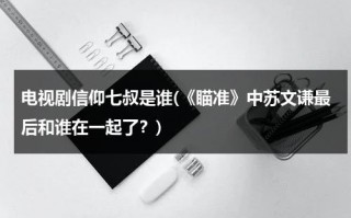 电视剧信仰七叔是谁(《瞄准》中苏文谦最后和谁在一起了？)（瞄准苏文谦是卧底吗）