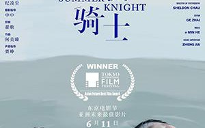 夏夜骑士 Summer Knight