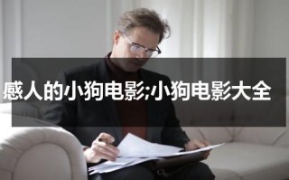 感人的小狗电影;小狗电影大全