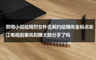 赘婿小说结局烈女朴氏契约结婚传金裕贞宋江电视剧秦岚和魏大勋分手了吗