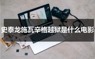史泰龙施瓦辛格越狱是什么电影（施瓦辛格和史泰龙演的越狱）