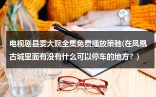 电视剧县委大院全集免费播放策驰(在凤凰古城里面有没有什么可以停车的地方？)（县委大院豆瓣）