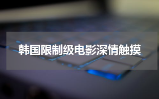 韩国限制级电影深情触摸