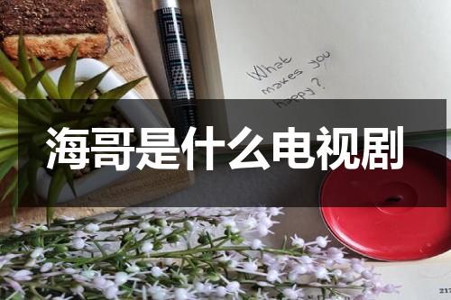 海哥是什么电视剧（海哥是好人还是坏人啊）-第1张图片-九妖电影
