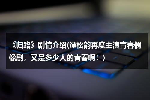 《归路》剧情介绍(谭松韵再度主演青春偶像剧，又是多少人的青春啊！)（归路电影演员表）-第1张图片-九妖电影