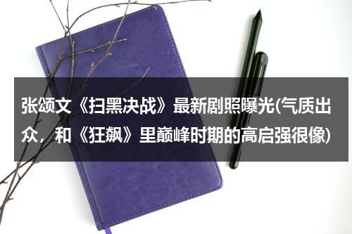 张颂文《扫黑决战》最新剧照曝光(气质出众，和《狂飙》里巅峰时期的高启强很像)（扫黑决战电影幕后）-第1张图片-九妖电影