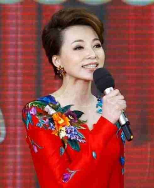 2024年春晚主持阵容疑曝光，董卿再次缺席，谢娜上场惹争议（2024年的春晚）-第4张图片-九妖电影