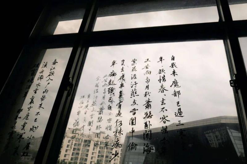 2024最生猛国产片：每一帧都美成画（2021年国产电影清单）-第33张图片-九妖电影