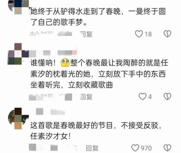2024春晚黑马任素汐，35岁走向事业巅峰，却还没被世界原谅（任素汐表演）-第29张图片-九妖电影