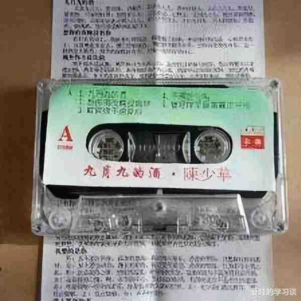 22岁荣登“春晚”一夜走红，却意外被砍缝上百针，今改行身价过亿（上5次春晚的明星）-第15张图片-九妖电影