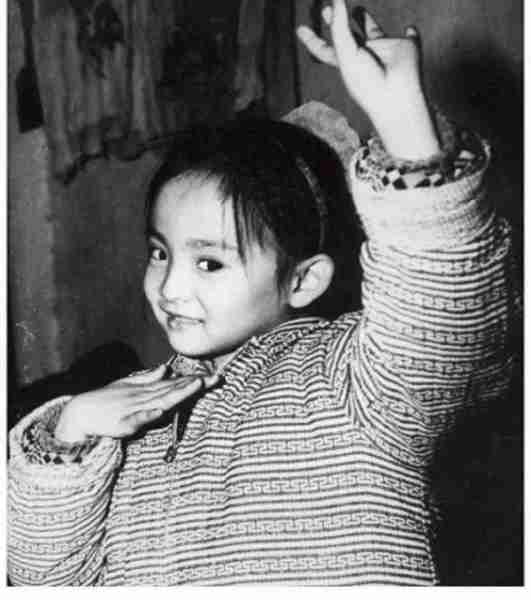 “千手观音”邰丽华:2岁失聪,27岁嫁理工男,29岁上春晚爆红(邰丽华千手观音是哪一年)-第3张图片-九妖电影 “千手观音”邰丽华:2岁失聪,27岁嫁理工男,29岁上春晚爆红(邰丽华千手观音是哪一年)-第3张图片-九妖电影