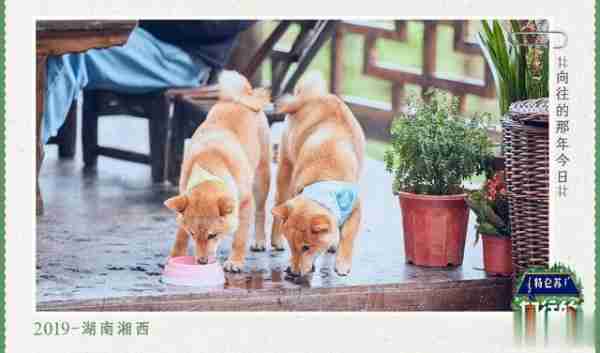 《向往的生活》还要重启拍摄?-第5张图片-九妖电影 《向往的生活》还要重启拍摄?-第5张图片-九妖电影