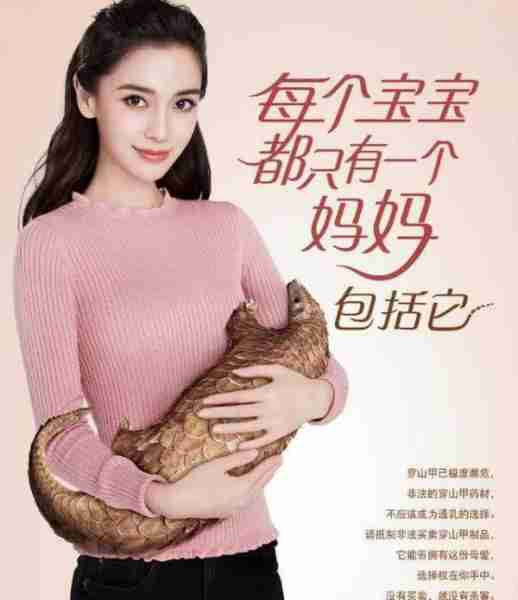 《奔跑吧》八位嘉宾就位依旧不见杨颖，为女性健康发声被骂太讽刺（奔跑吧哪一季没有杨颖）-第18张图片-九妖电影