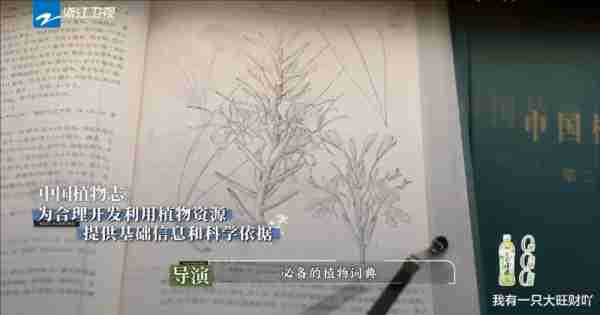 《奔跑吧》孟子义玩游戏盲目自信被打脸，临摹绘画大赛沙溢成赢家（孟子义奔跑吧发型）-第6张图片-九妖电影