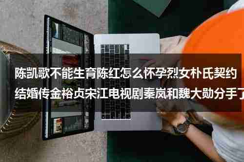 陈凯歌不能生育陈红怎么怀孕烈女朴氏契约结婚传金裕贞宋江电视剧秦岚和魏大勋分手了吗（陈凯歌和陈红结婚时间多久）-第1张图片-九妖电影
