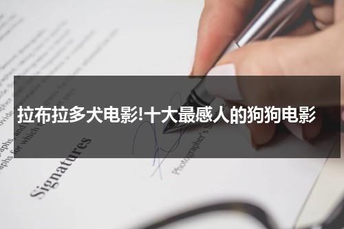 拉布拉多犬电影!十大最感人的狗狗电影（拉布拉多电影叫什么名字）-第1张图片-九妖电影
