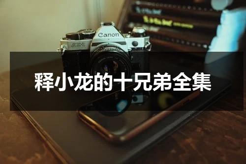 释小龙的十兄弟全集（释小龙2020新电视剧）-第1张图片-九妖电影